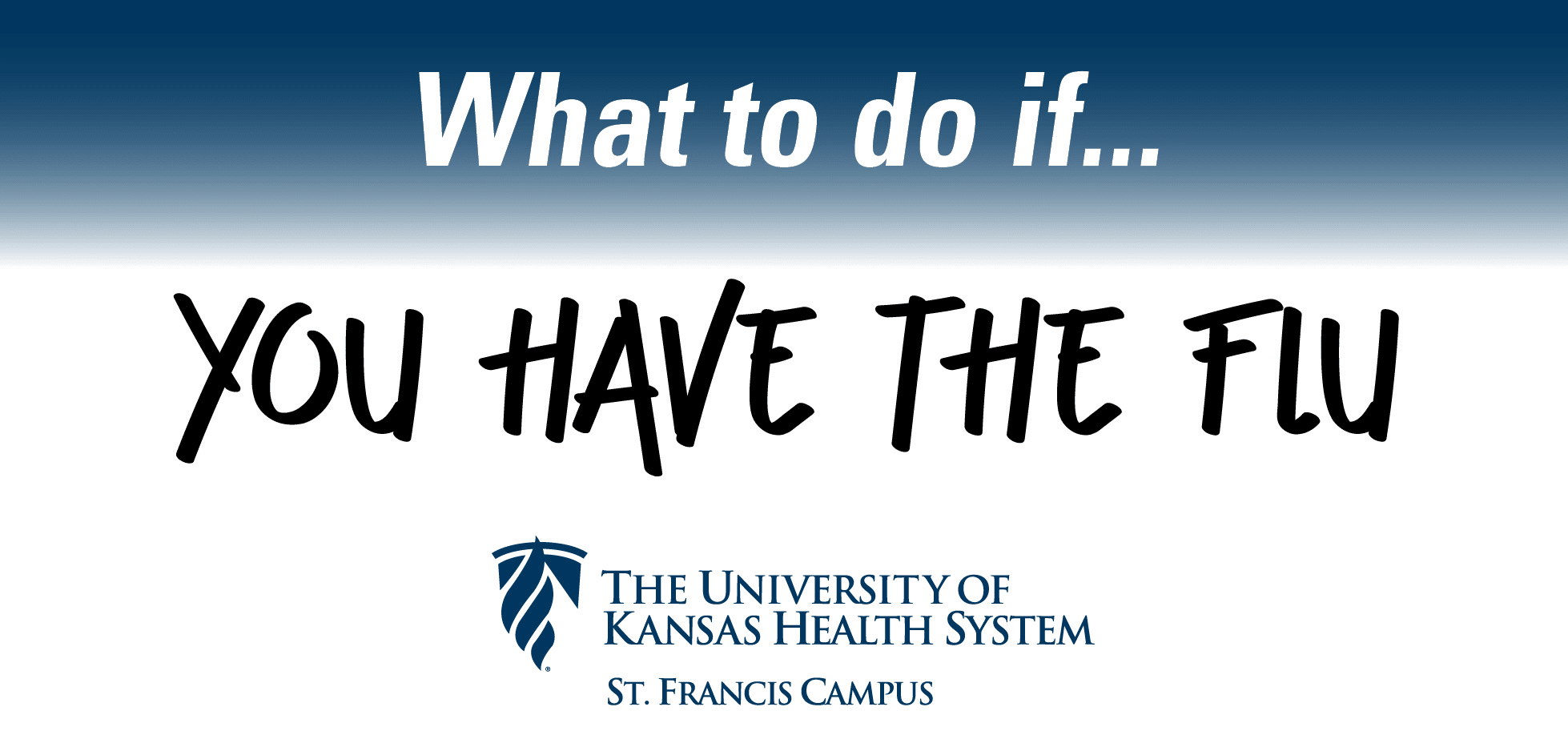 What to do if … you have the flu 